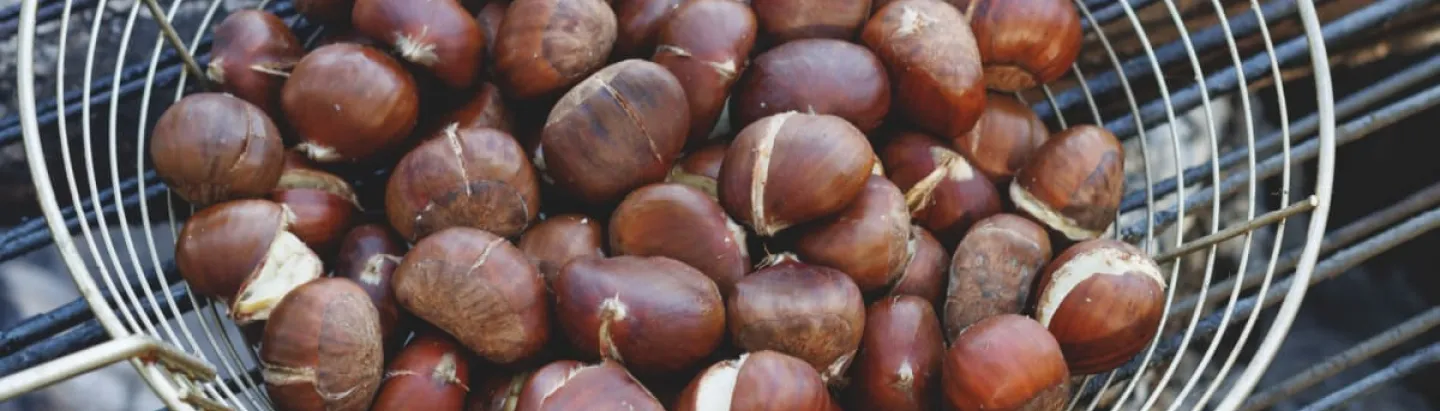 Castanyada en Cataluña